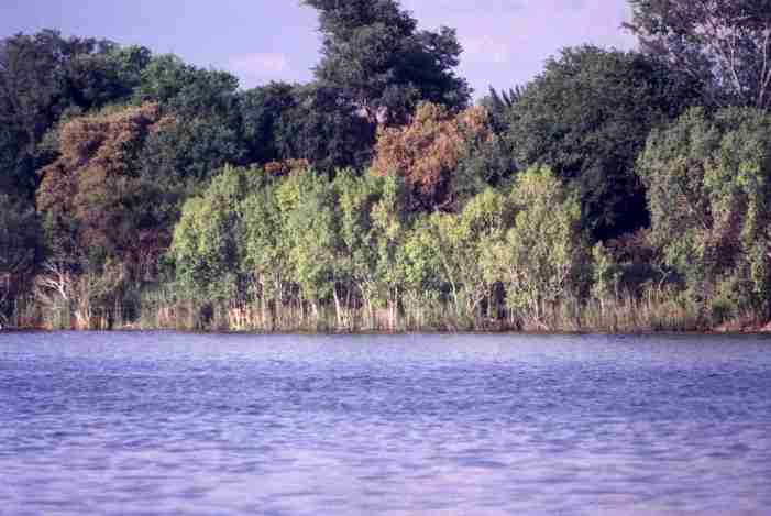 Berges de la Zambie.